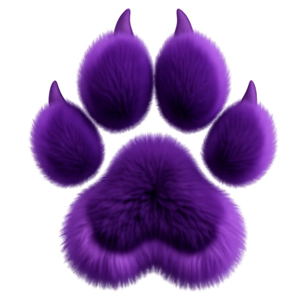 Maine Coon kittens for sale in Medicine Hat Alberta Canada - TICA registered breeder